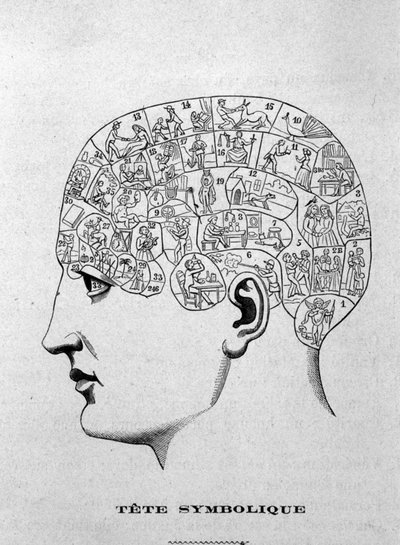 Cabeza simbólica. Ilustración del libro de Charles Rouvin de 1873 La Tête humaine, estudios ilustrados de frenología y fisionomía aplicados a personajes famosos París 1873 de Unknown artist