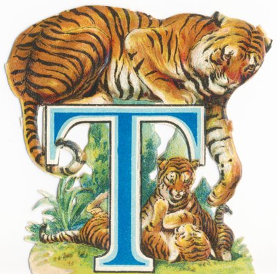 T: Tigre de Unknown artist
