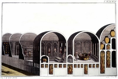 Los baños de Caracalla en Roma (grabado del siglo XIX) de Unknown artist