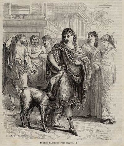 El perro de Alcibíades - El perro de Alcibíades, estadista, orador y general ateniense, 450-404 a.C. grabado de 1864 de Unknown artist