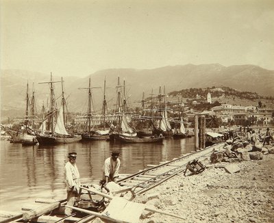 La construcción de un muelle en Yalta. Foto de la albúmina de Unknown artist