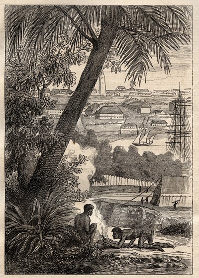 La expedición a las tierras del sur (1800-1803) por Nicolas Baudin (1754-1803): Vista de Sídney (Australia) - ilustración de “Los Grandes Marineros del siglo XVIII” de Unknown artist