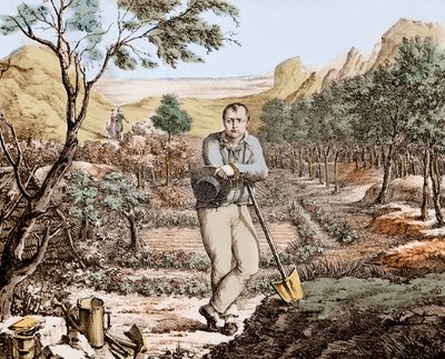 El jardinero de Santa Elena - Napoleón en el exilio en Santa Elena, grabado de Unknown artist