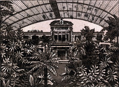 El Jardín de las Palmeras en Frankfurt, Alemania en “El mundo ilustrado 168 vistas” Sin fecha (finales del siglo XIX) de Unknown artist