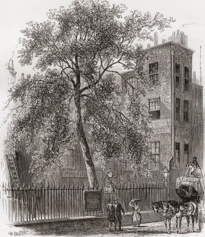 The Plane Tree, Wood Street, Cheapside, Londres, Inglaterra en el siglo XIX de Unknown artist