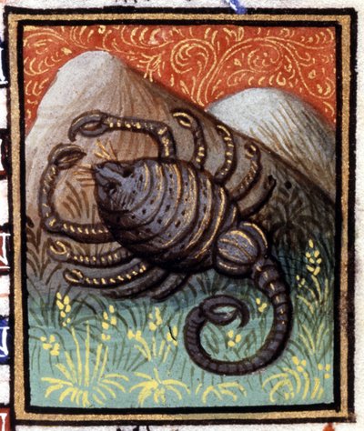 El Escorpio. Miniatura de un horóscopo. Manuscrito del siglo XV. Bibl. Trivulziana, Milán. de Unknown artist