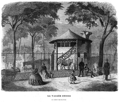 El valle suizo en el jardín de plantas en París en 1858. de Unknown artist