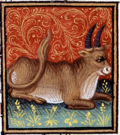 El Tauro. Miniatura de un horóscopo. Manuscrito del siglo XV. Bibl. Trivulziana, Milán. de Unknown artist