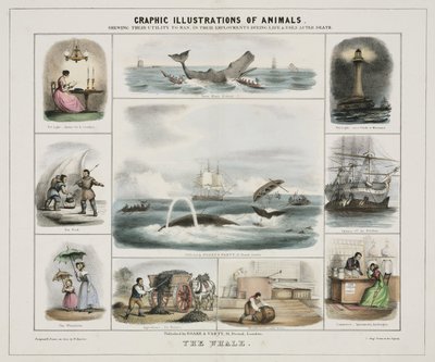 La ballena", hacia 1845 de Unknown artist