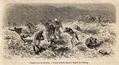La caravana de porteadores de la expedición de Henry Morton Stanley (1841-1904) en la carretera de Misonghi (África Oriental) fue atacada por una nube de abejas. Grabado para ilustrar el viaje en busca de Livingstone, en África central, por Henry Stanley,  de Unknown artist