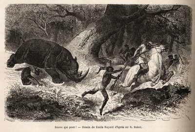 La carga del rinoceronte que vuelca y atrapa a los cazadores, durante la búsqueda del autor y sus guías. Grabado para ilustrar la exploración de los tributarios abisinios del Nilo, por Sir Samuel W. Baker, en 1861-62, publicado en 