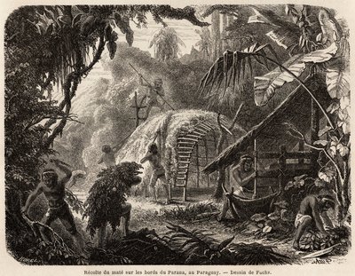La recolección de mate en las orillas del Paraná, la infusión de esta hoja aromática es la bebida habitual sudamericana, dibujo de Fuchs, para ilustrar el viaje a Paraguay, de 1844 a 1847, por el Dr. Alfred Demersay. Grabado en 