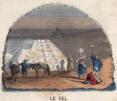 La recolección de sal. Ilustración del siglo XIX. Colección Bianchetti de Unknown artist