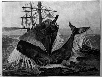 La colisión entre un barco y una ballena dormida de Unknown artist