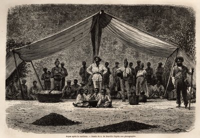 La comida común de los trabajadores después de la recolección de granos de café, que se secan en el suelo en primer plano; en el centro de la imagen, el dueño de la plantación cierra y se cubre la cabeza con un sombrero blanco. Grabado para ilustrar el via de Unknown artist