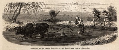 El cultivo del arroz: primera etapa, después de la irrigación del terreno, el suelo de la parcela se revuelve con el arado y se muele bajo los pies de los búfalos y aradores, que mezclan el limo hasta la mitad de la pierna y rompen los terrones recalcitran de Unknown artist