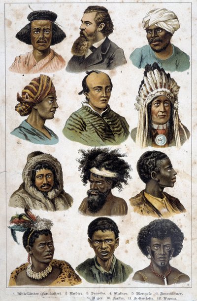 Las diferentes razas humanas - en "Natural histories of mammals", ed. Schreiber de Unknown artist