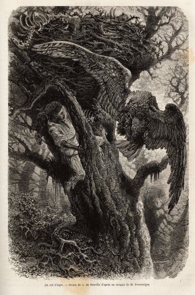 El águila protegiendo su nido del intruso. Grabado para ilustrar la historia Quatre mois en Florida, por M. Pousselgue, en 1851-1852, publicado en “Le tour du monde”, bajo la dirección de D