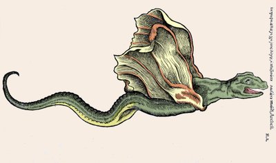 El dragón volador Anfítere. Grabado en Historia Animalium de Conrad Gesner (1516 - 1565), Zúrich de Unknown artist