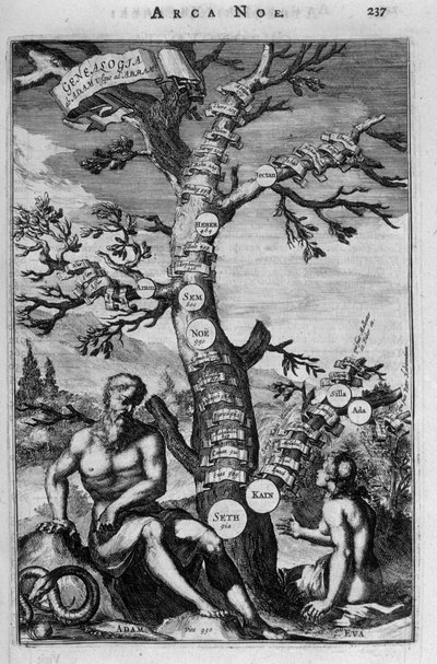 El árbol genealógico de Adán a Abraham - biblia de Unknown artist