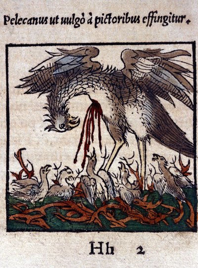 La leyenda del pelícano: da su sangre y entrañas para alimentar a sus crías. De Historiae animalium de Konrad Gesner, Tiguri de Unknown artist