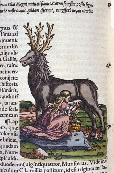 El comercio de renos según Historiae animalium de Konrad Gesner, Tiguri de Unknown artist