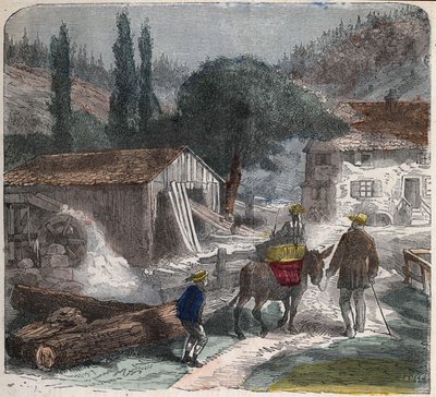 El aserradero. Ilustración del siglo XIX. Colección Bianchetti de Unknown artist