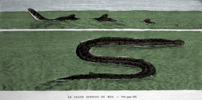 La serpiente marina observada en 1872 en el Atlántico Meridional. de Unknown artist
