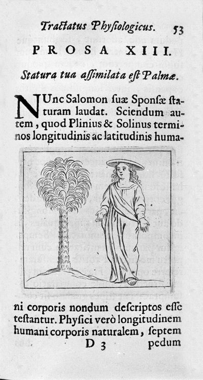 El tamaño de la mujer. Página tomada de “Tractatus physiologicus de pulchritudine” de Ernesto Venio defendiendo la belleza de la creación contra un oponente anónimo. 1612 de Unknown artist