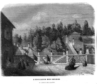 La escalera de los invernaderos en el jardín de plantas en París en 1858. de Unknown artist