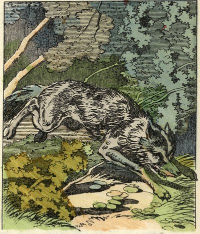 El lobo corre a la casa de la abuela. Ilustración del cuento "Caperucita Roja" de Charles Perrault de Unknown artist
