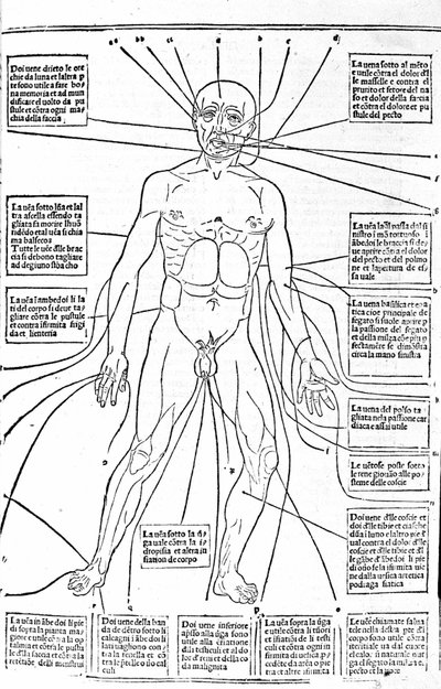 Esta imagen muestra los lugares del cuerpo o la práctica de sangrado según el dolor. Tratado de Medicina de Gerolamo Cardano (Cardanus Hieronymus), Florencia de Unknown artist