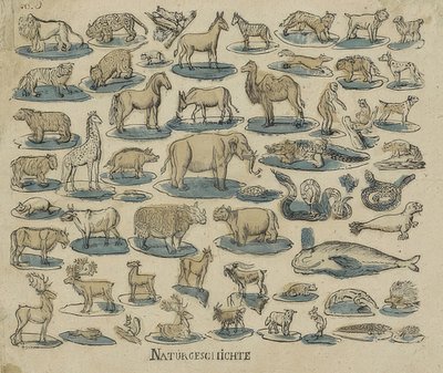 Animales de Unknown