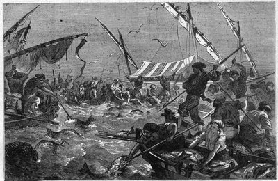 Pesca de atún con trampa en la costa de Provenza en Francia. Grabado en "El Universo Ilustrado" de Unknown artist