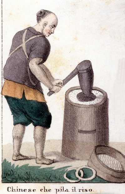 Un chino que saquea el arroz - en Il costume universale di tutti i popoli del mondo (El traje universal de todos los pueblos del mundo) de Unknown artist