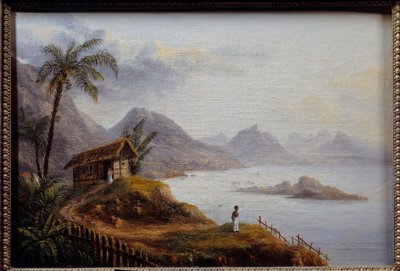 Vista de Martinica de Unknown artist