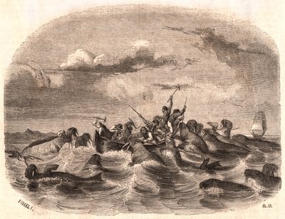 Vista de un grupo de marineros ingleses persiguiendo una manada de morsas en 1818 frente a la costa de Spitsbergen de Unknown