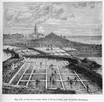 Vista de una salina en Bourg de Batz, cerca de Croisic (Bretaña) - en “Las maravillas de la industria” de Louis Figuier de Unknown artist