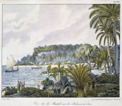 Vista de las Islas Radak del archipiélago de las Islas Marshall de Unknown artist
