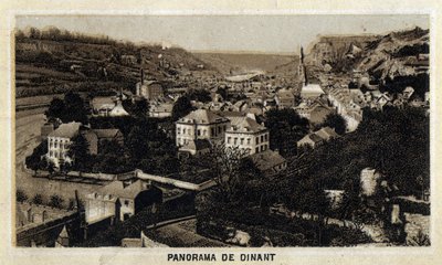 Vista de la ciudad de Dinant, Valonia, Bélgica. Cromolitografía de finales del siglo XIX. de Unknown artist