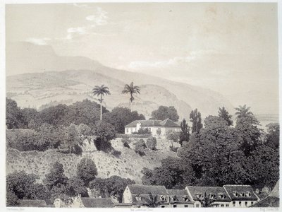 Vista de las casas tomadas desde el Boulevard de la Comedie en Saint Pierre en Martinica de Unknown artist
