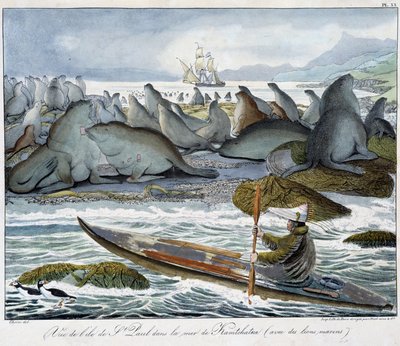 Vista de la isla de San Pablo en el mar de Kamchatka con leones marinos. de Unknown artist