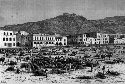 Vista de la marcha de Adén en Abisinia. Grabado alrededor de 1880 de Unknown artist