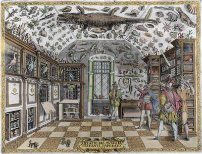 Vista del museo (gabinete) de curiosidades (museo enciclopédico) del farmacéutico Ferrante Imperato (1550 - 1631). Grabado de 1678. Museo del boticario napolitano Ferrante Imperato. de Unknown artist