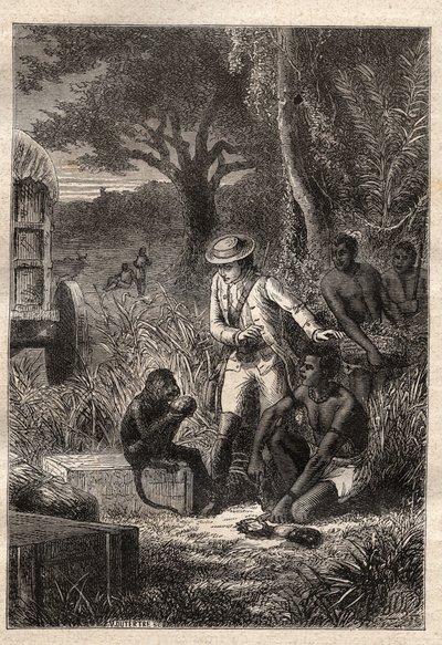 Viaje a la Cafrería (Sudáfrica) (1781) de François Levaillant (Le Vaillant) (1753-1824): Levaillant y su mono degustador Maître Kees, que prueba las frutas y raíces para verificar que son comestibles - ilustración tomada de “Los grandes marineros del siglo de Unknown artist