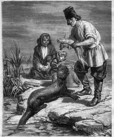 Viaje de Alphonse Louis Pinart en América del Norte y Alaska - caza y pesca en Alaska - grabado en “Journal des Voyages” de 1884 de Unknown artist