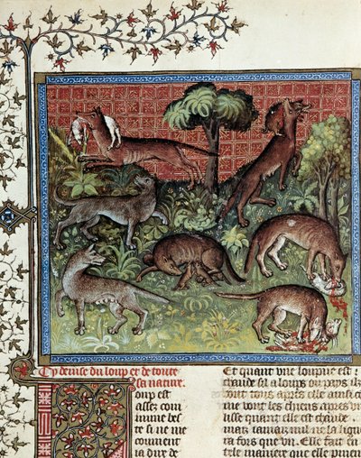 Nosotros moteamos al lobo y toda su naturaleza. Miniatura de Gaston Phoebus (1331-1391) llamado Gaston III Conde De Foix de Unknown artist