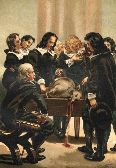 William Harvey (1578-1658) médico inglés demostrando la circulación sanguínea en 1628 de Unknown artist