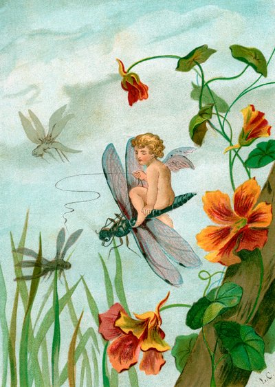 Hada Alada Montando una Libélula cerca de Flores de Capuchina de Unknown artist