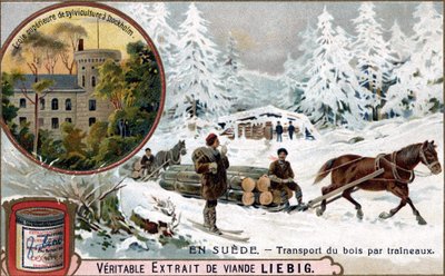 Transporte de madera en trineos, Suecia. Cromolitografía, imagen de Liebig. de Unknown artist